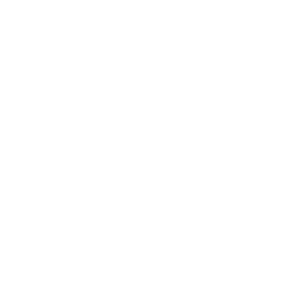 Brighton Council