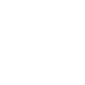 Chapman Executive logo