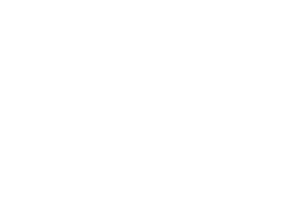 Timmins Ray logo