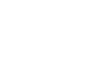 Federal Group logo