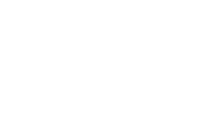 Federal Group logo