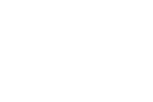 Federal Group logo