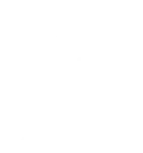Cricket Tasmania Logo MONO REV