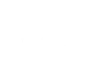 Ford Scott