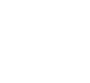 Ford Scott