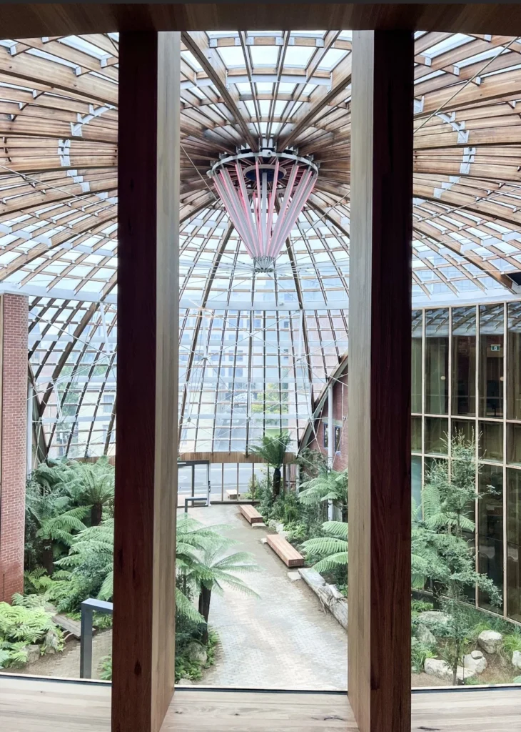 A view from the interior of The Forest, looking out over the entryway underneath a glass dome roof. There are ferns and a pathway leading from the entrance to the interior teaching and learning spaces.
