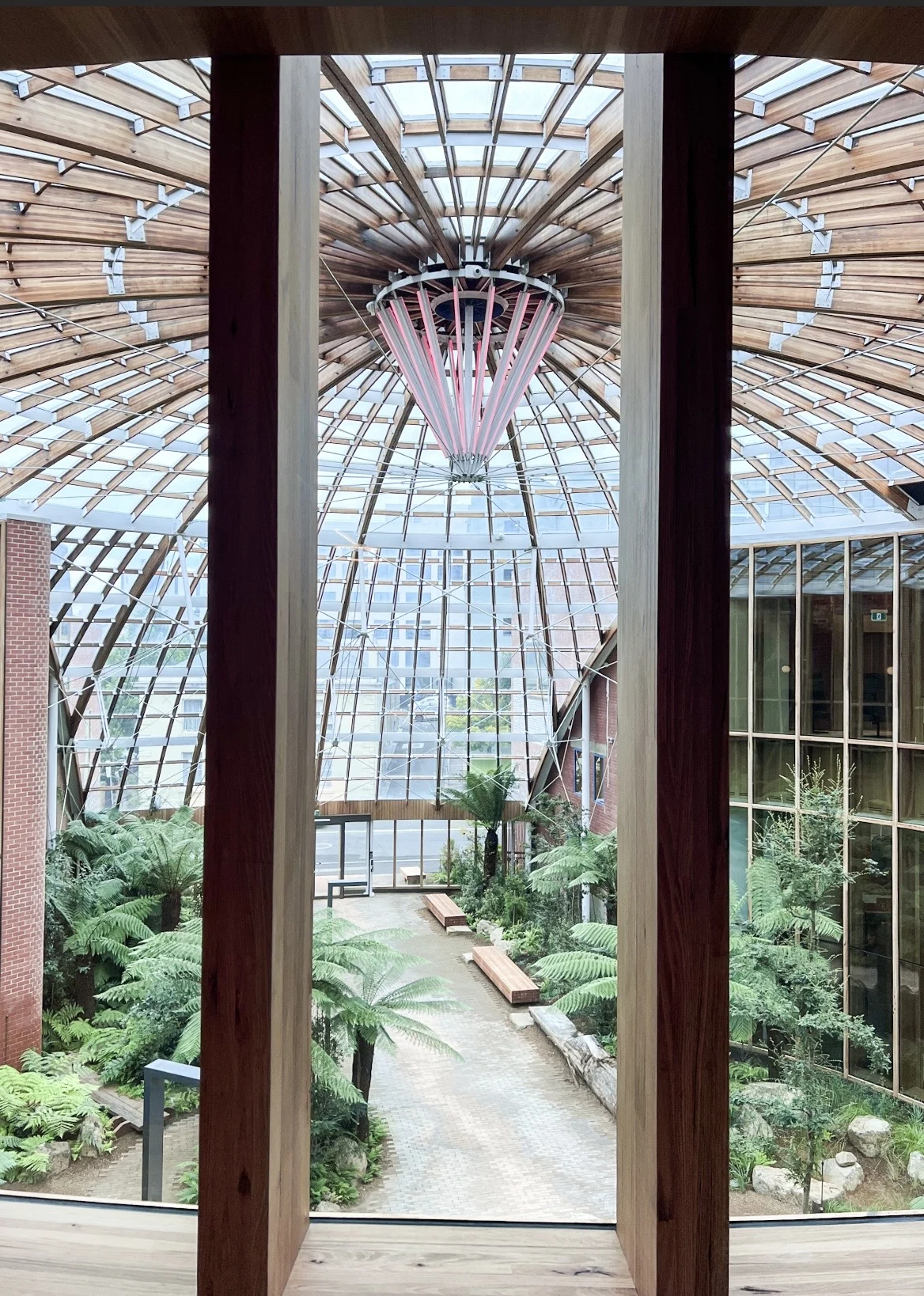 A view from the interior of The Forest, looking out over the entryway underneath a glass dome roof. There are ferns and a pathway leading from the entrance to the interior teaching and learning spaces.