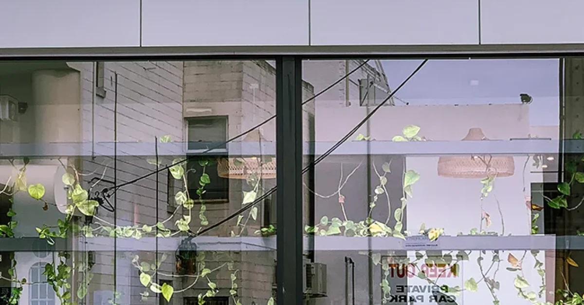 CFGH_StandardImage_ChristinaNielsenFotografi_SisterhoodCafeSandyBay